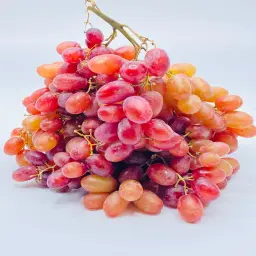 Red Banati Grape
